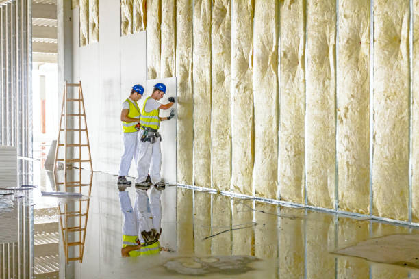 Best Commercial Insulation in Tyrone, OK